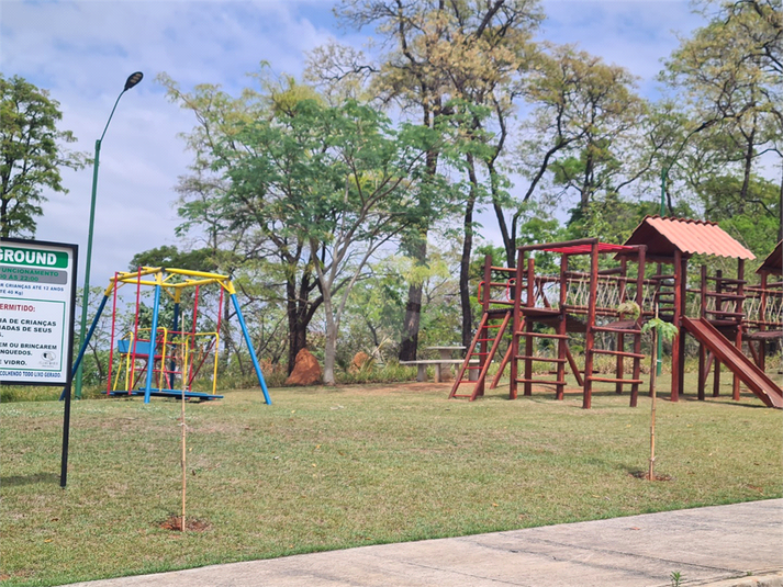 Foto REO1133245