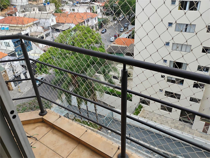 Foto REO1133246