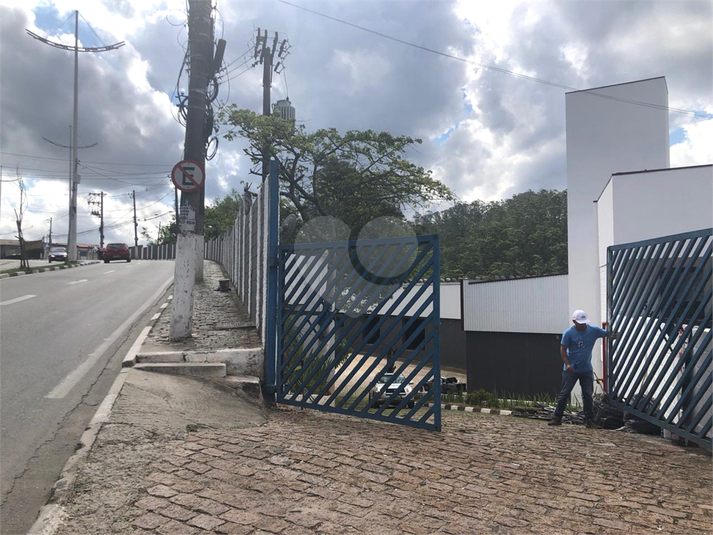 Foto REO1133254