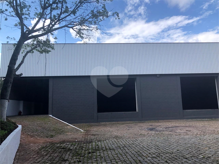 Foto REO1133254