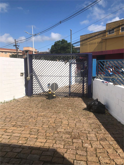 Foto REO1133254