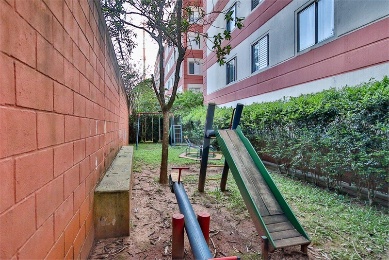 Foto REO1133263
