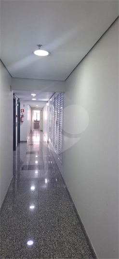 Foto REO1133269