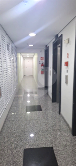 Foto REO1133269