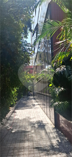 Foto REO1133269