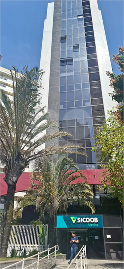 Foto REO1133269