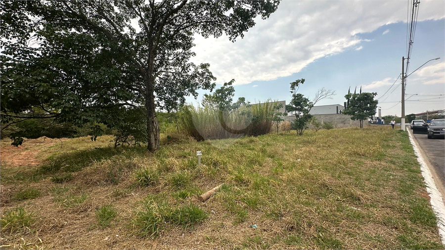 Foto REO1133274
