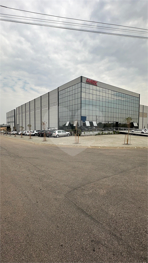 Foto REO1133274