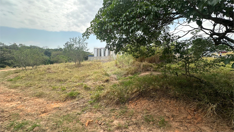Foto REO1133274