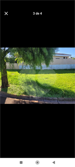 Foto REO1133280