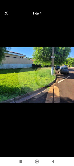 Foto REO1133280