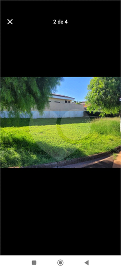 Foto REO1133280