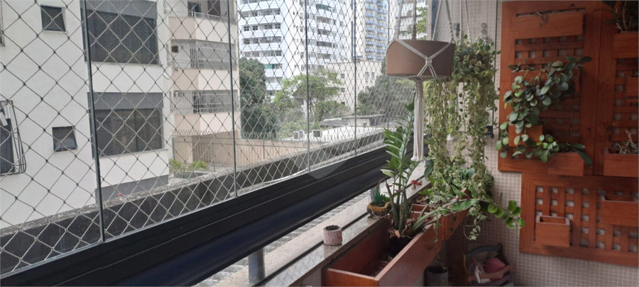 Foto REO1133282