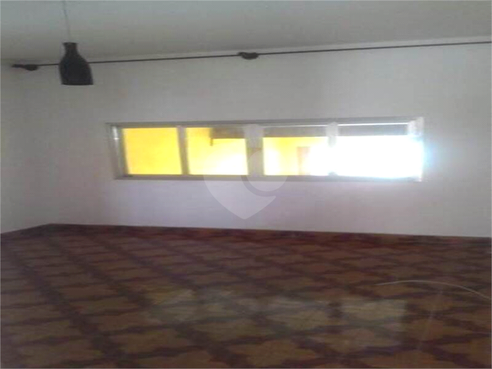 Foto REO1133293