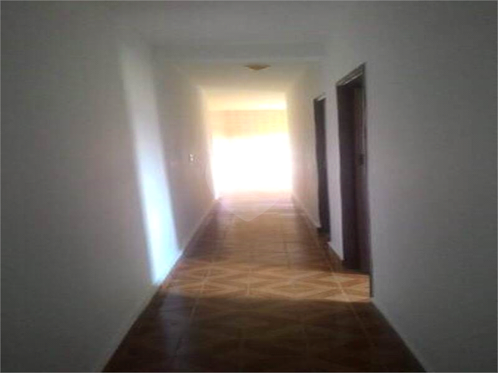 Foto REO1133293