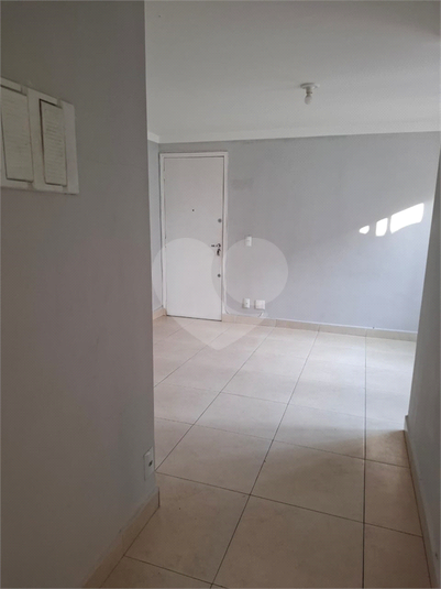 Foto REO1133296