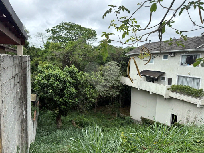 Foto REO1133304