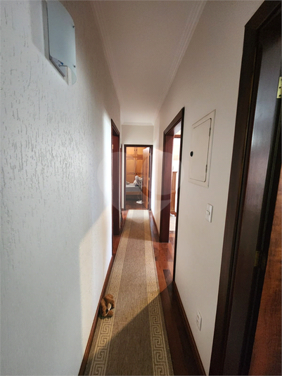 Foto REO1133320