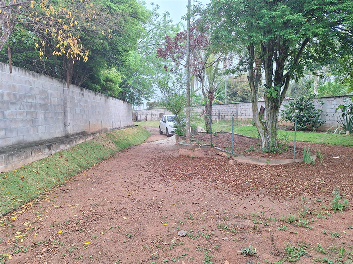 Foto REO1133326