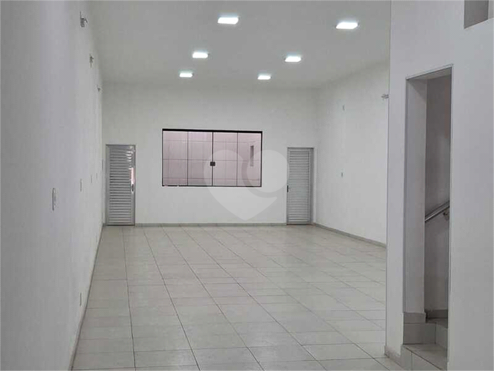 Foto REO1133338
