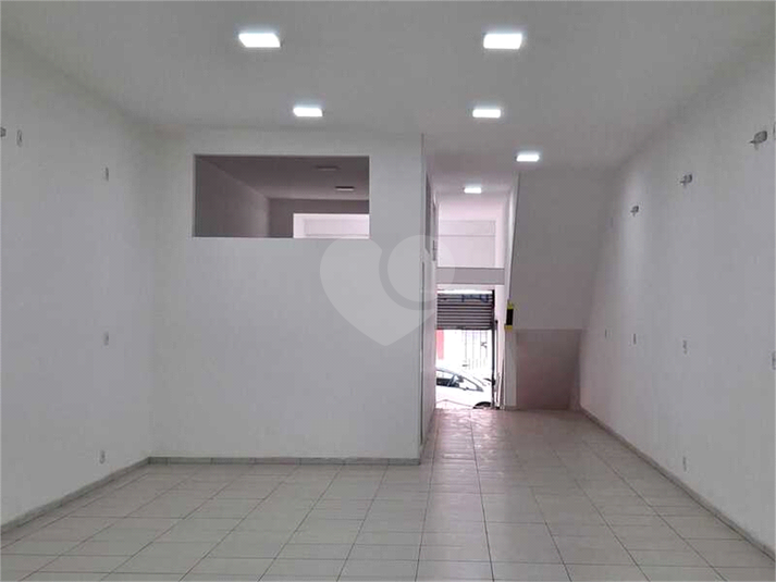 Foto REO1133338