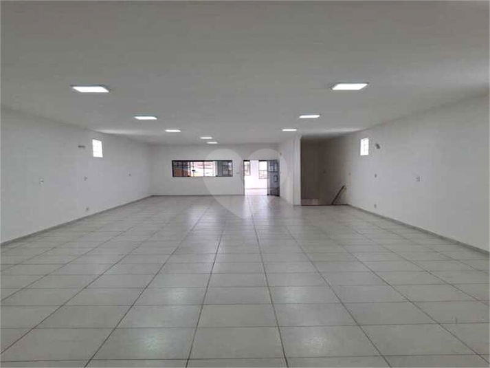 Foto REO1133338