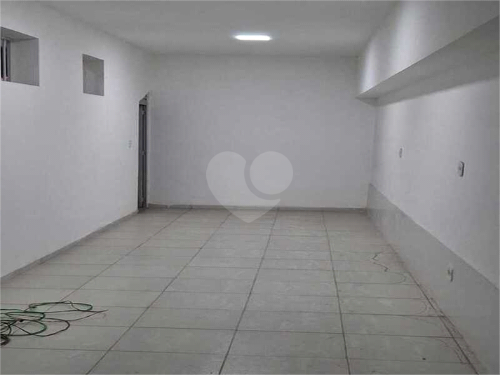 Foto REO1133338