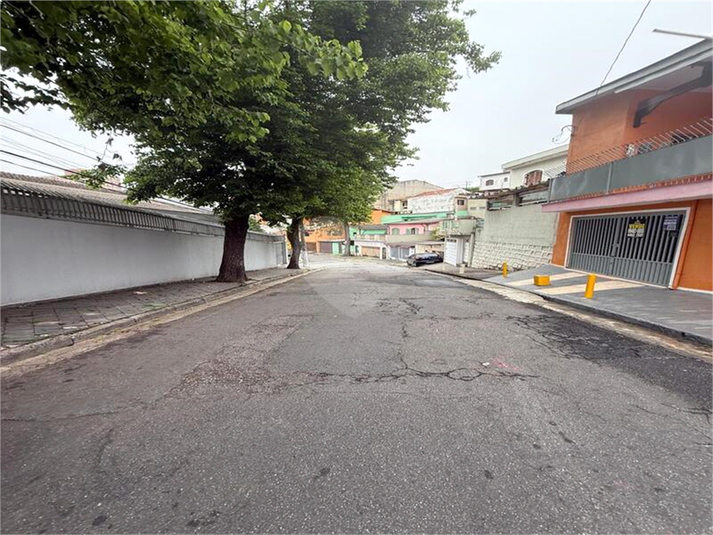 Foto REO1133341