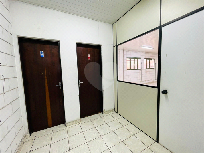Foto REO1133353
