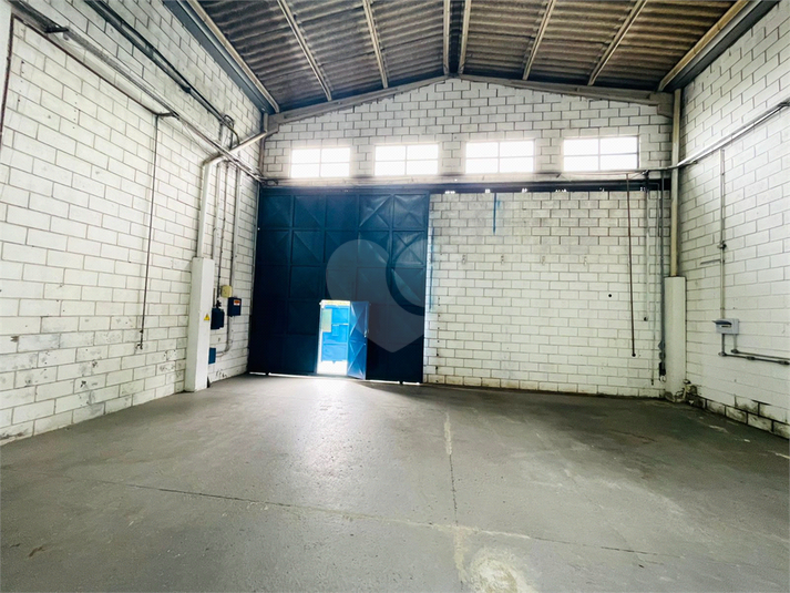 Foto REO1133353
