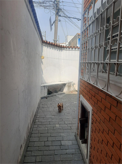 Foto REO1133355