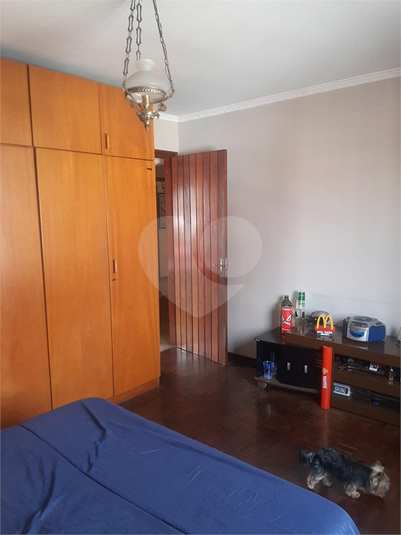 Foto REO1133355