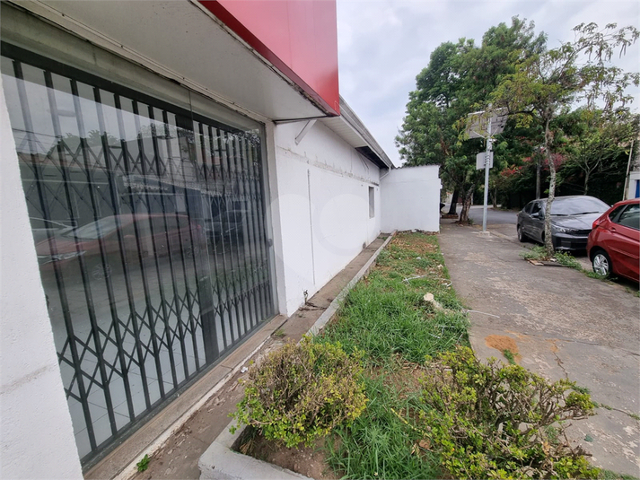 Foto REO1133361