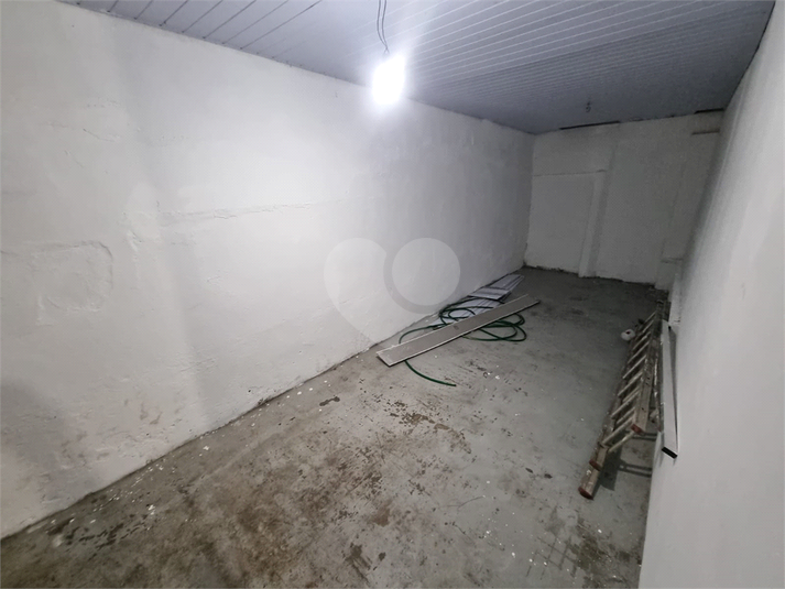 Foto REO1133361