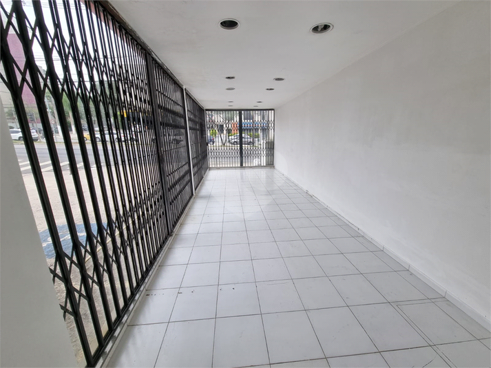 Foto REO1133361