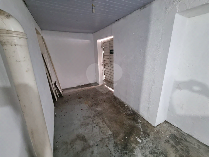 Foto REO1133361