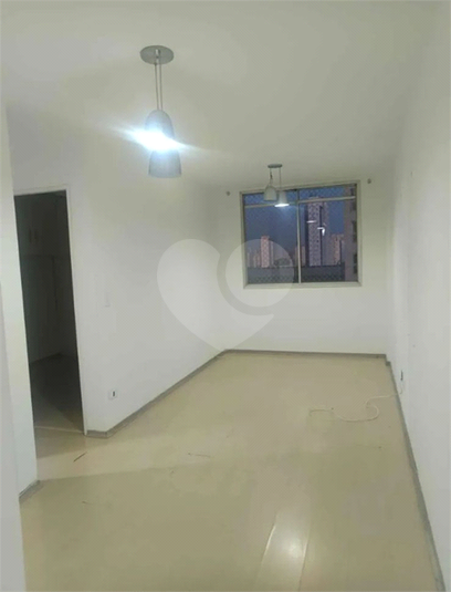 Foto REO1133402