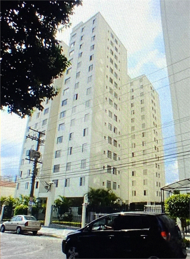 Foto REO1133402
