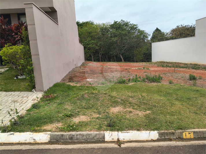 Foto REO1133410
