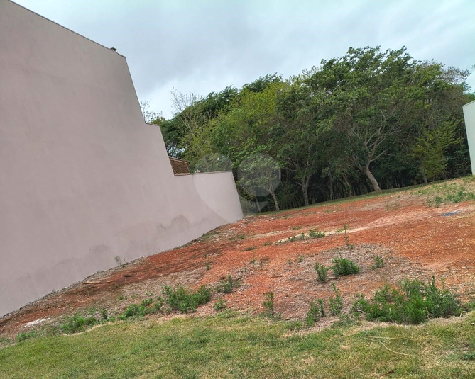 Foto REO1133410
