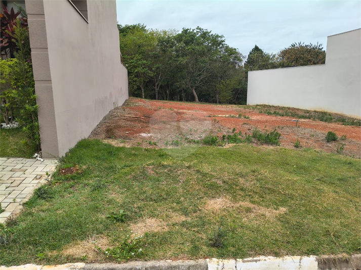 Foto REO1133410