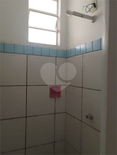 Foto REO1133424