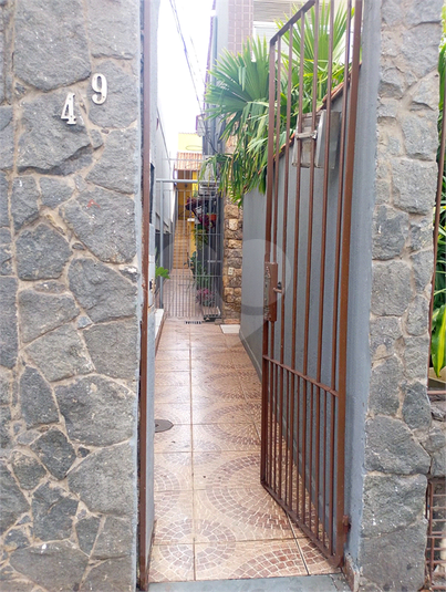 Foto REO1133424