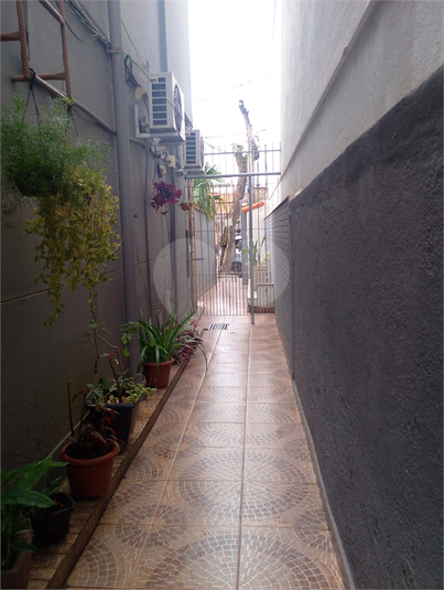 Foto REO1133424