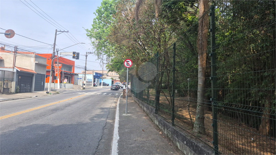 Foto REO1133428