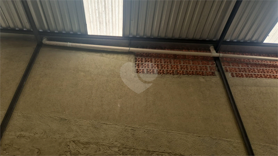 Foto REO1133428