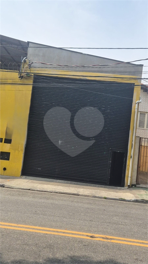 Foto REO1133428