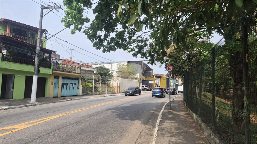 Foto REO1133432