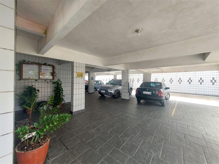 Foto REO1133435