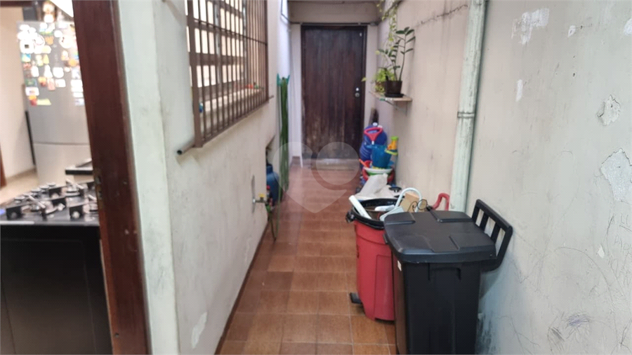 Foto REO1133437